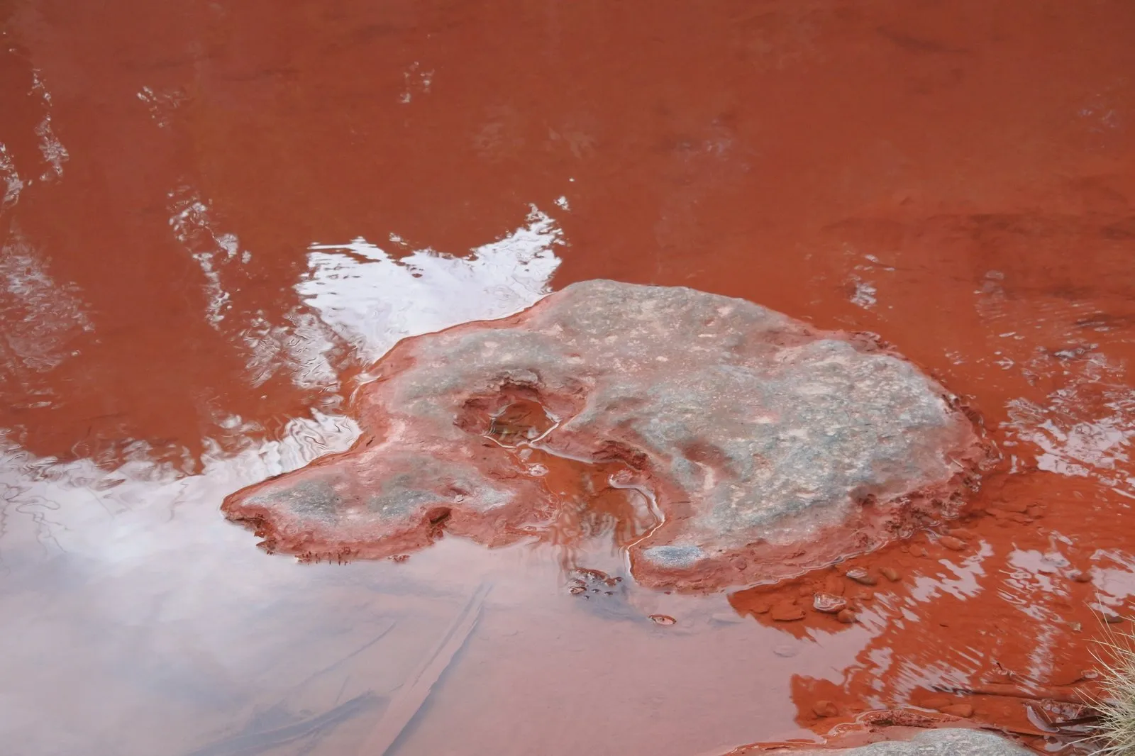 血の池地獄の水面。透けた湯の下に赤い堆積物が広がる