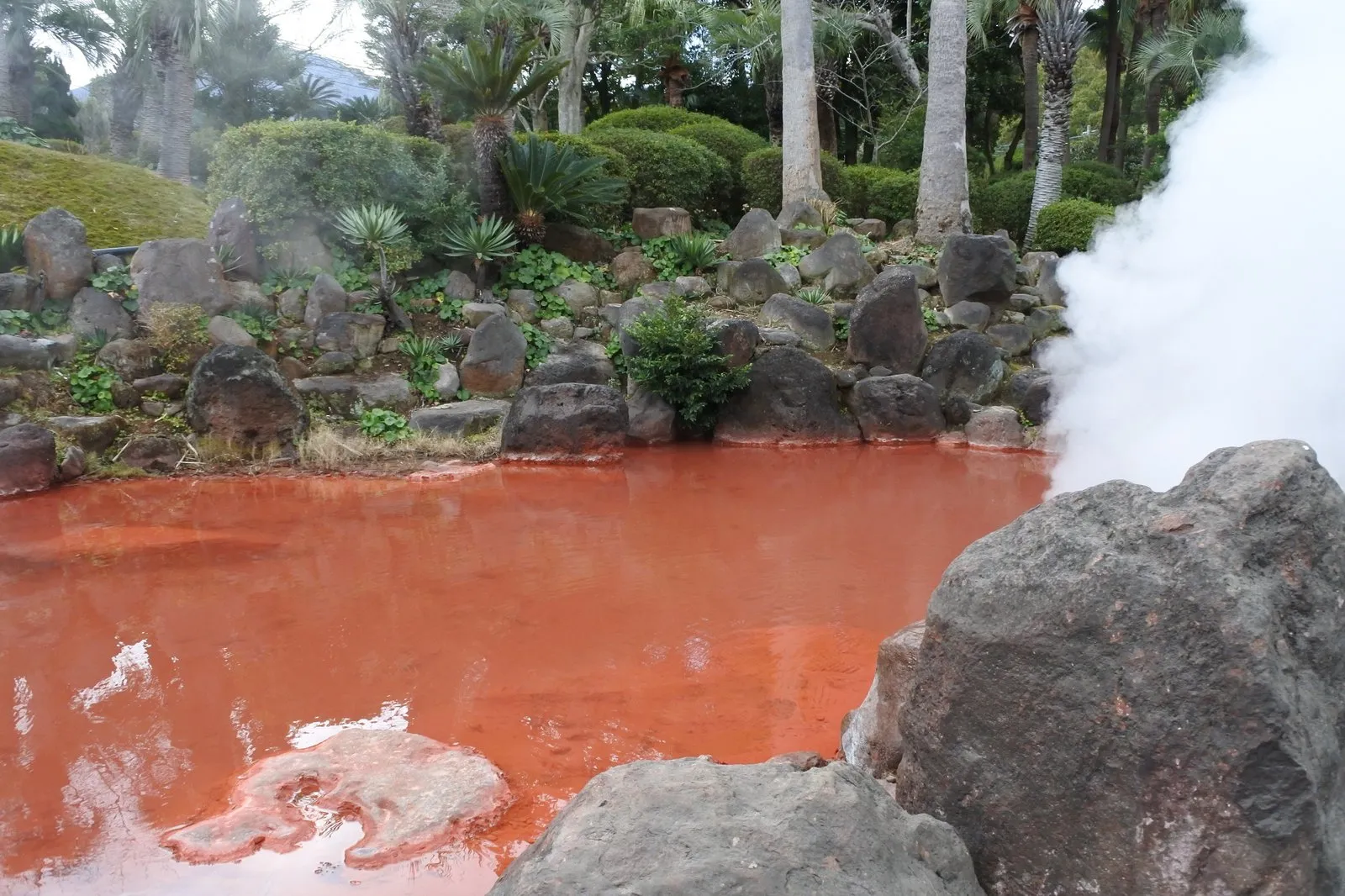血の池地獄。赤褐色の湯が広がり、白い湯気が立ちのぼる