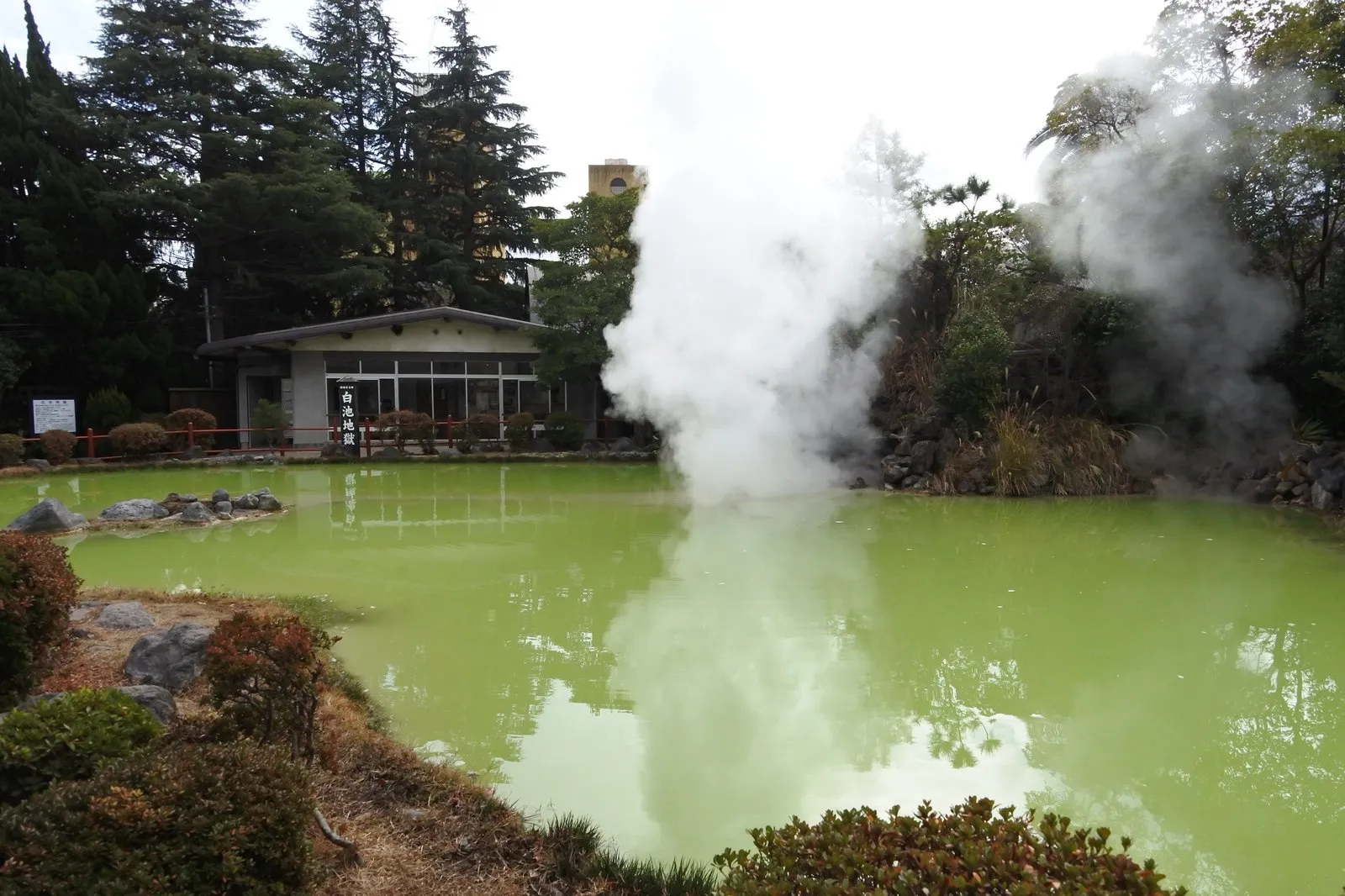 白池地獄。黄緑がかった緑色の池が広がる