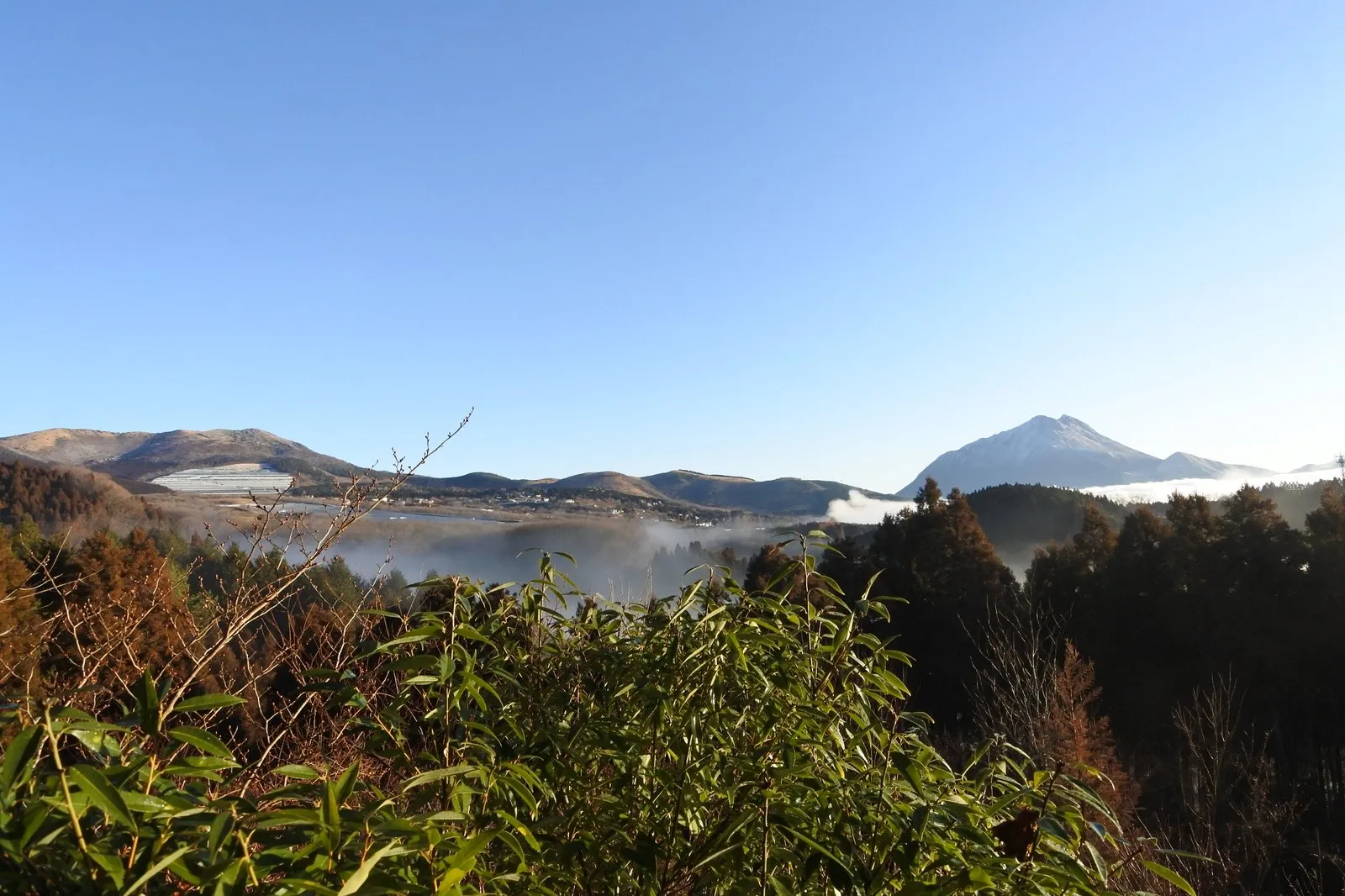 朝の由布岳と、その手前に横たわる白い雲海