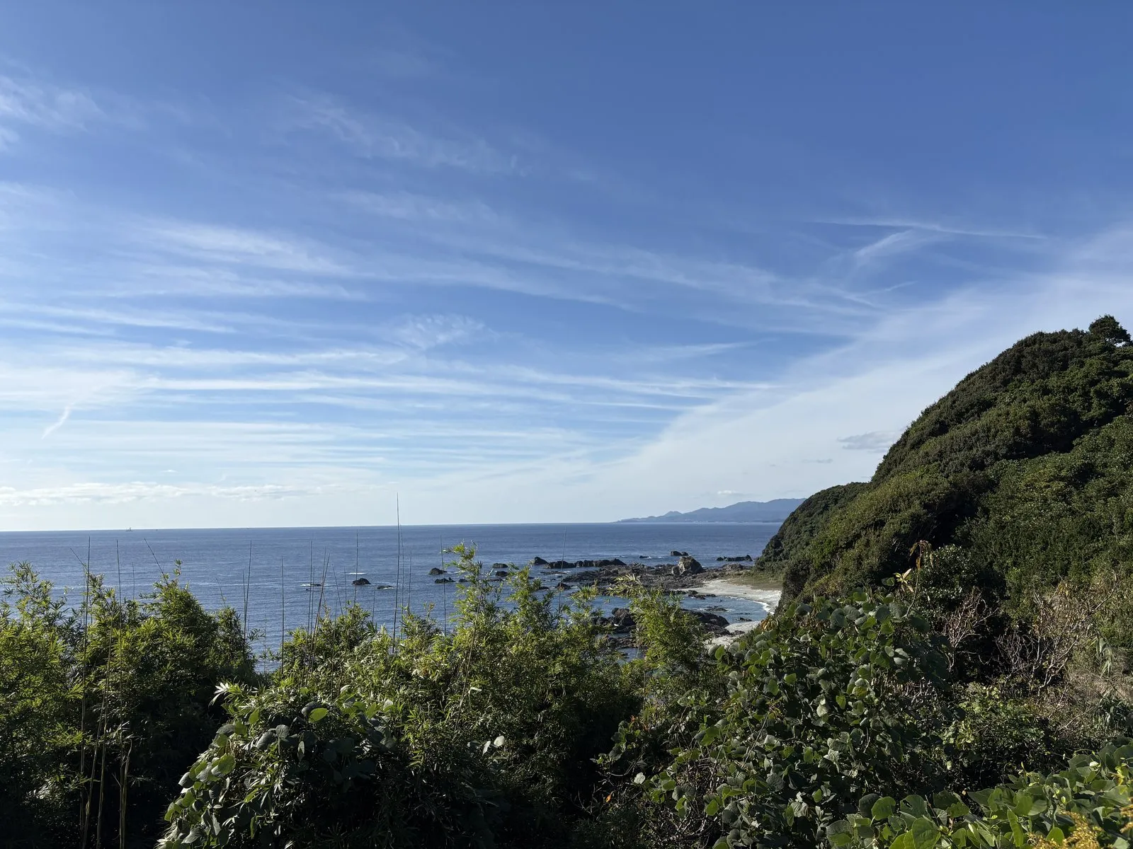 潮岬観光タワーから見た太平洋と、緑の岬をふちどる海岸線