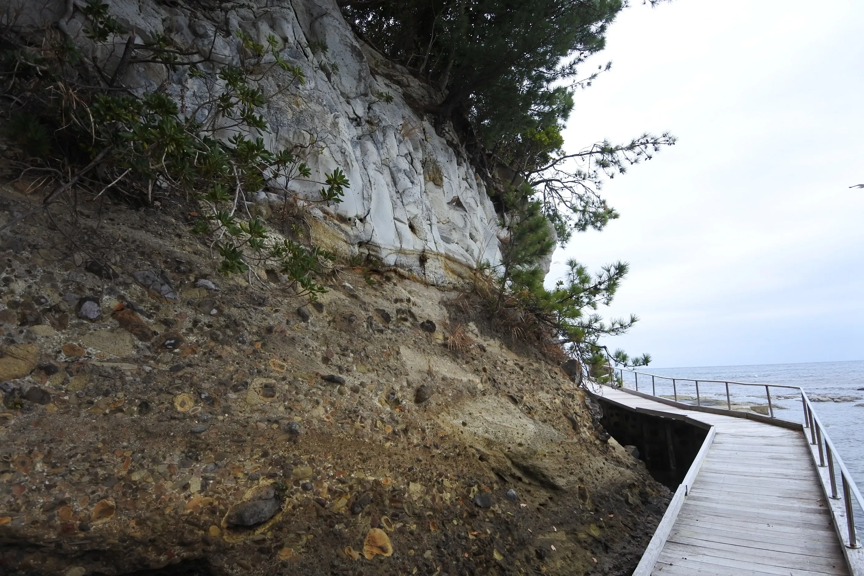 化石を含む岩の崖。遊歩道がすぐ近くを通り、触れて観察できる距離感