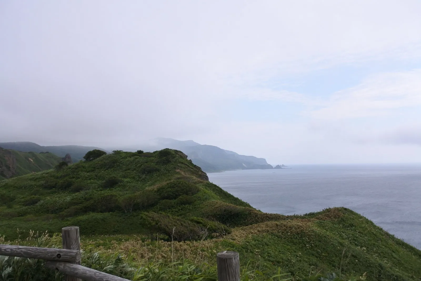 木の柵越しに見る、緑に覆われた神威岬の尾根と、その先へ続く海岸線