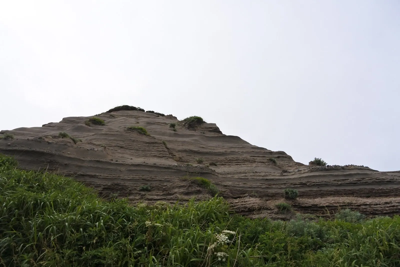 草地の向こうにある、横縞の層がはっきり見える灰色の岩の高まり