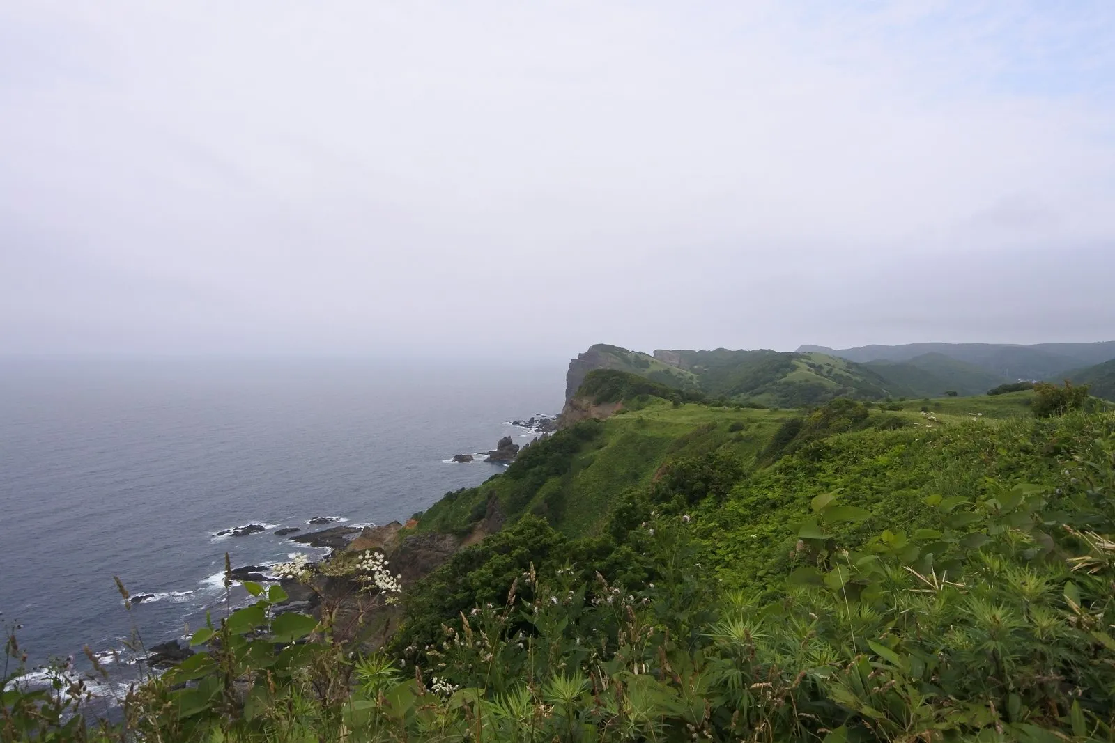 緑に覆われた台地状の岬の先端と、そこから海へ落ち込む崖