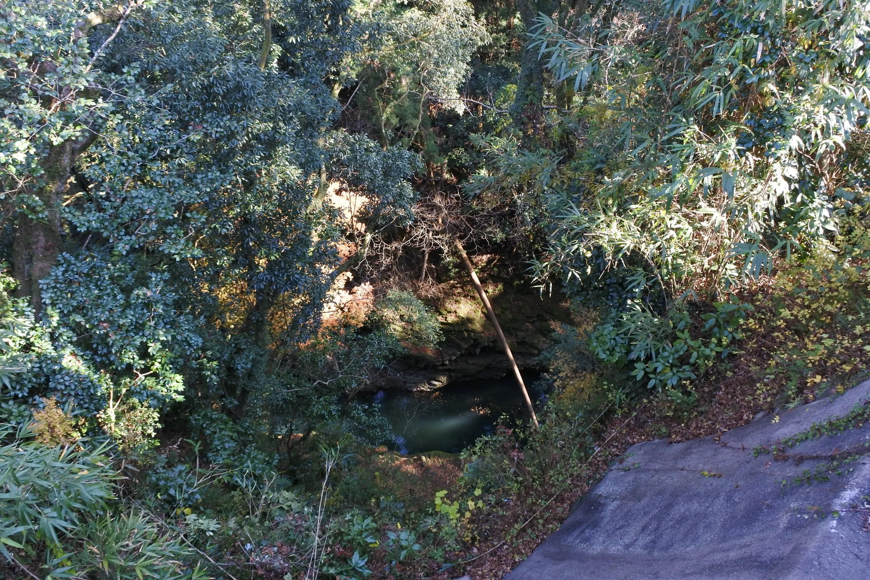 天安河原。森と川に囲まれた俯瞰の景観。神話の場所らしい深閑とした雰囲気