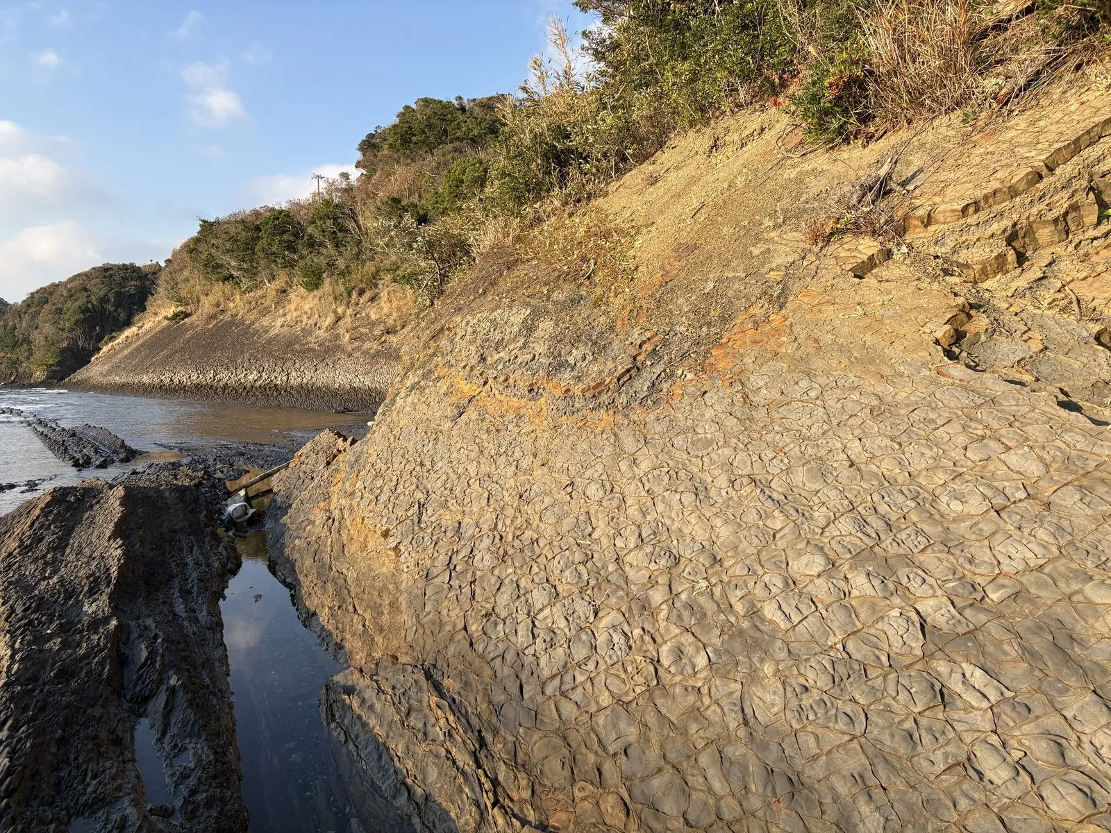 網代の海際。手前に亀甲状の模様が広がる岩の平らな面、左奥には細かい層が並ぶ岩壁
