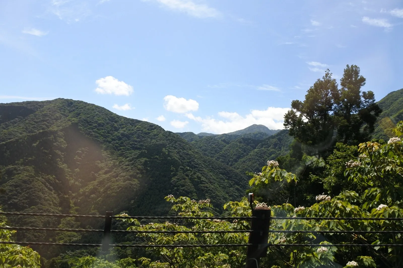 白谷雲水峡へ向かう道から見た、緑に覆われた屋久島の山々