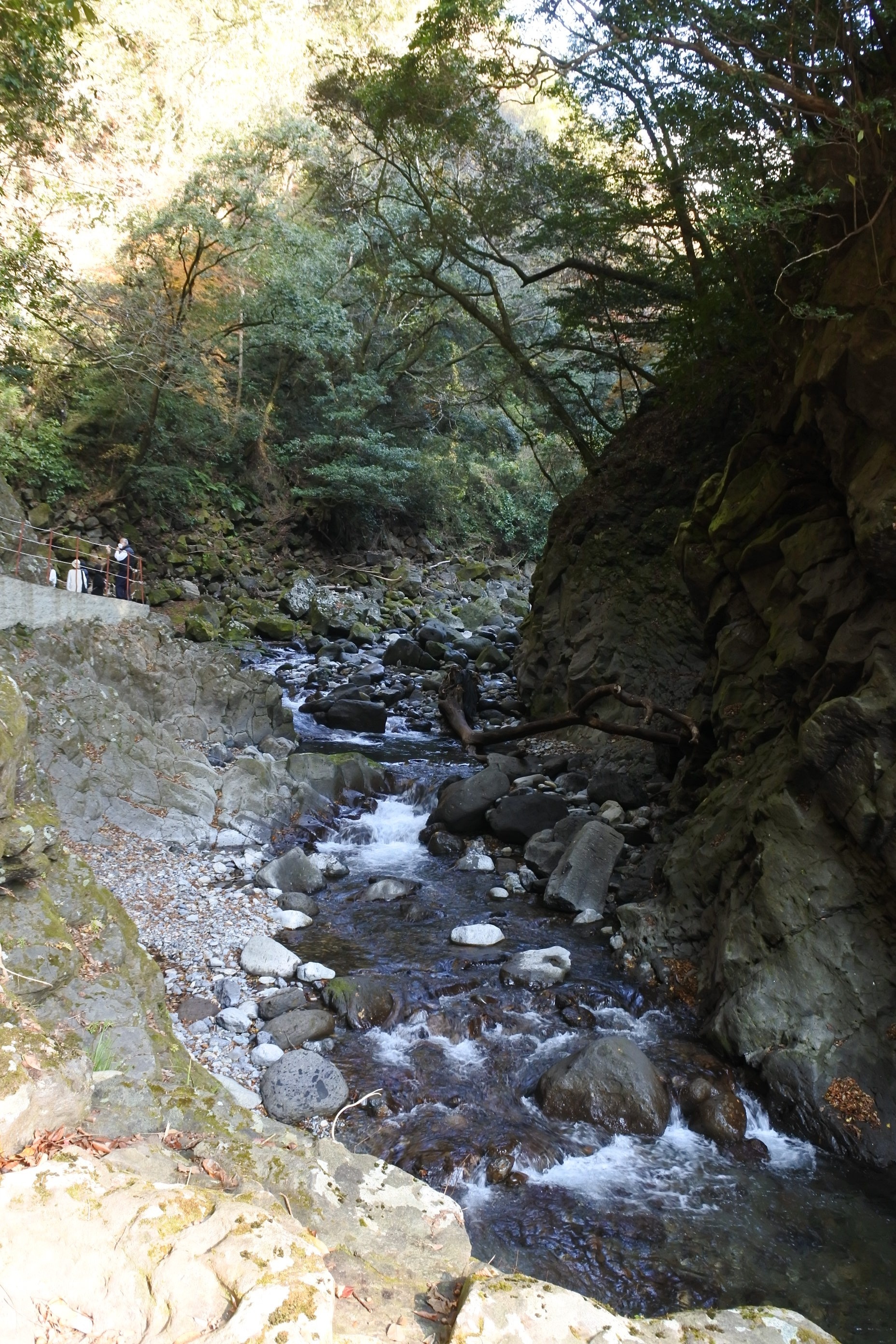 天岩戸の岩壁。表面から水が染み出し、岩肌が濡れて光る