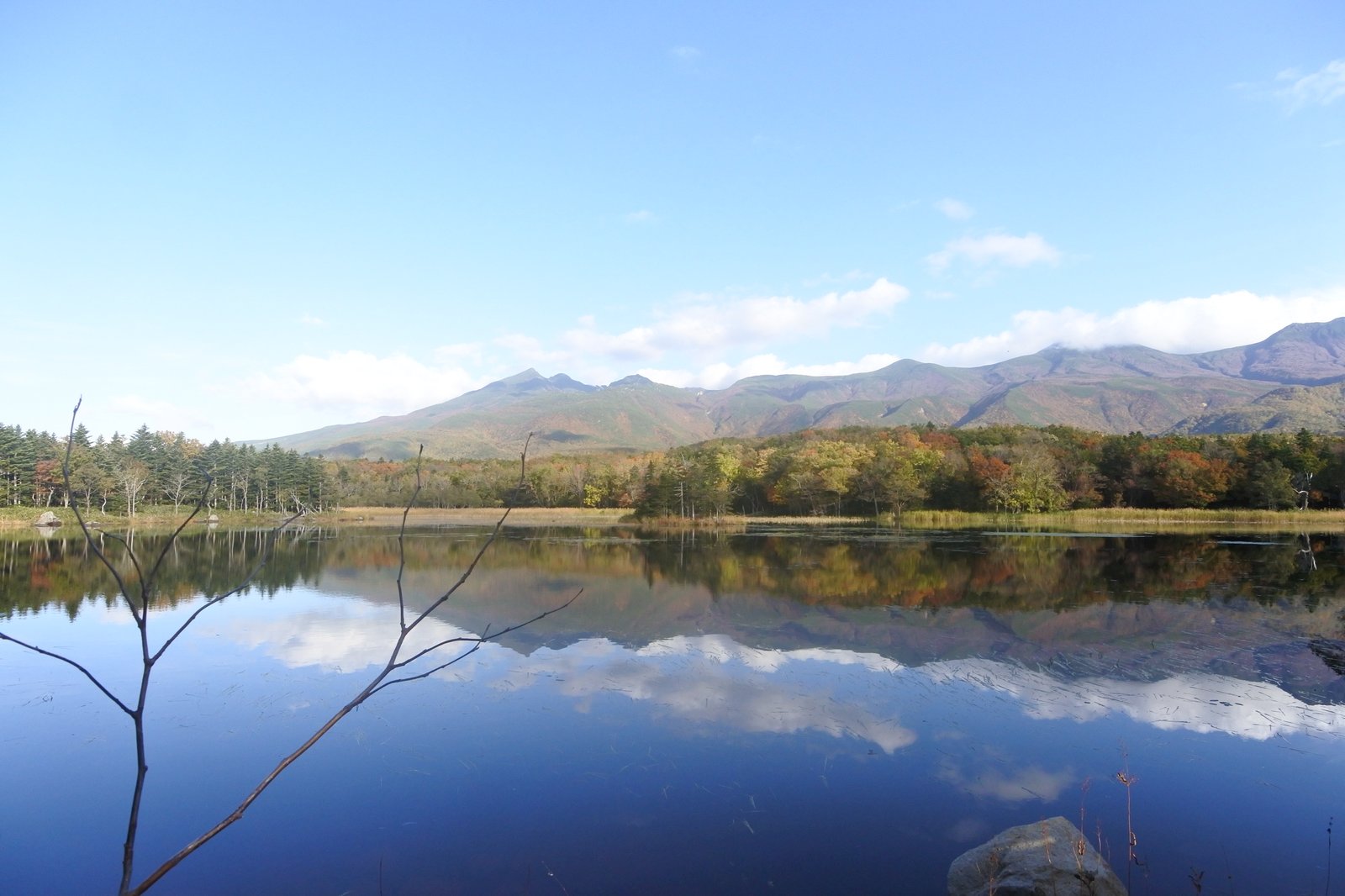 手を叩きながら、原生林を歩く。知床五湖の水鏡から野付半島の砂嘴まで、火山が連なる半島をたどった秋の三日間